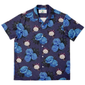 Blue Rose Assassin